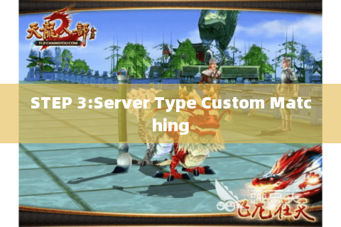 STEP 3:Server Type Custom Matching STEP 3:Server Type Custom Matching
