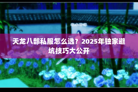 天龙八部私服怎么选?2025年独家避坑技巧大公开 天龙八部私服怎么选?2025年独家避坑技巧大公开