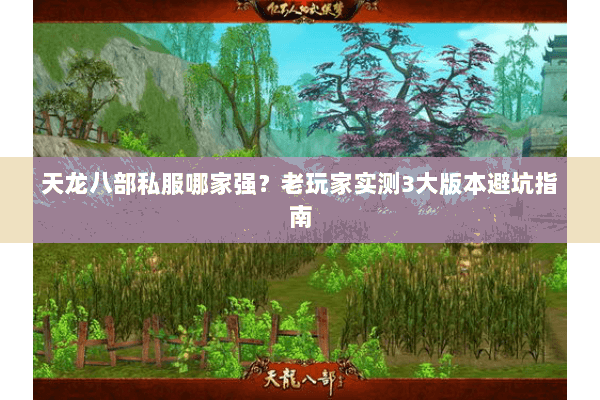 天龙八部私服哪家强?老玩家实测3大版本避坑指南 天龙八部私服哪家强?老玩家实测3大版本避坑指南