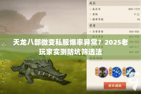 天龙八部微变私服爆率异常?2025老玩家实测防坑筛选法 天龙八部微变私服爆率异常?2025老玩家实测防坑筛选法