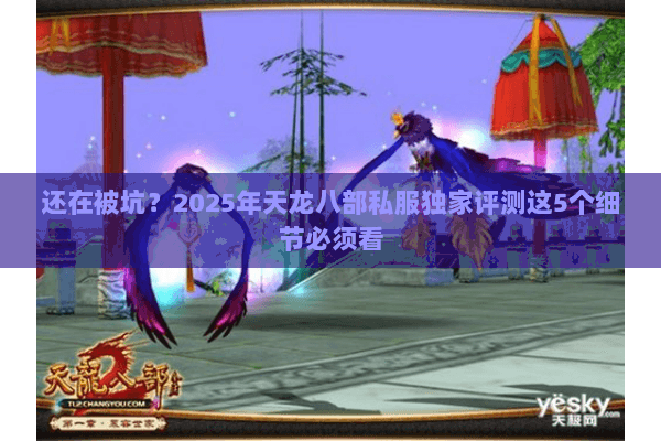 还在被坑？2025年天龙八部私服独家评测这5个细节必须看