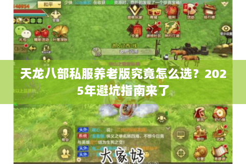 天龙八部私服养老版究竟怎么选?2025年避坑指南来了 天龙八部私服养老版究竟怎么选?2025年避坑指南来了