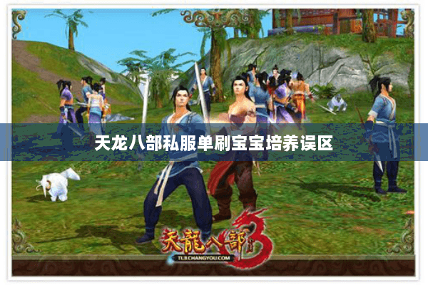 天龙八部私服单刷宝宝培养误区 天龙八部私服单刷宝宝培养误区