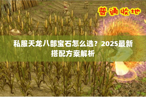 私服天龙八部宝石怎么选?2025最新搭配方案解析 私服天龙八部宝石怎么选?2025最新搭配方案解析