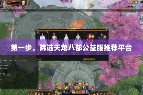 第一步,筛选天龙八部公益服推荐平台 第一步,筛选天龙八部公益服推荐平台
