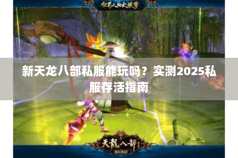 新天龙八部私服能玩吗?实测2025私服存活指南 新天龙八部私服能玩吗?实测2025私服存活指南