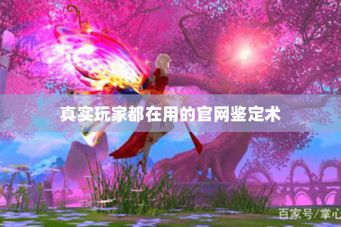 真实玩家都在用的官网鉴定术 真实玩家都在用的官网鉴定术