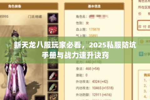 新天龙八服玩家必看,2025私服防坑手册与战力速升诀窍 新天龙八服玩家必看,2025私服防坑手册与战力速升诀窍