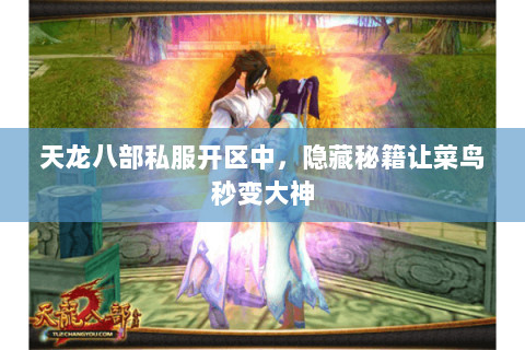 天龙八部私服开区中,隐藏秘籍让菜鸟秒变大神 天龙八部私服开区中,隐藏秘籍让菜鸟秒变大神