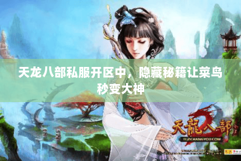 天龙八部私服开区中,隐藏秘籍让菜鸟秒变大神 天龙八部私服开区中,隐藏秘籍让菜鸟秒变大神