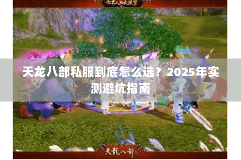 天龙八部私服到底怎么选?2025年实测避坑指南 天龙八部私服到底怎么选?2025年实测避坑指南
