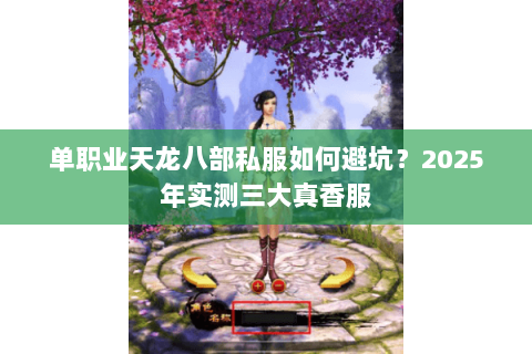 单职业天龙八部私服如何避坑?2025年实测三大真香服 单职业天龙八部私服如何避坑?2025年实测三大真香服
