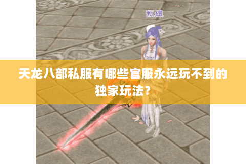 天龙八部私服有哪些官服永远玩不到的独家玩法？