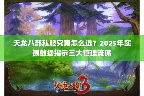 天龙八部私服究竟怎么选?2025年实测数据揭示三大管理流派 天龙八部私服究竟怎么选?2025年实测数据揭示三大管理流派