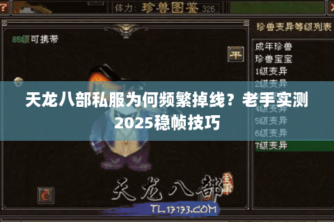 天龙八部私服为何频繁掉线？老手实测2025稳帧技巧