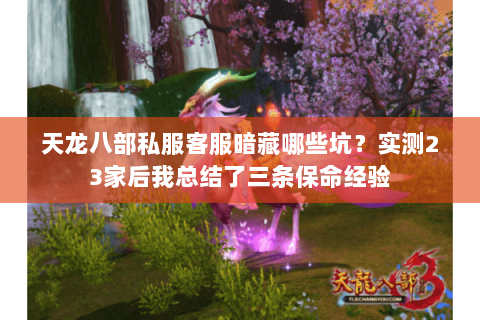天龙八部私服客服暗藏哪些坑？实测23家后我总结了三条保命经验