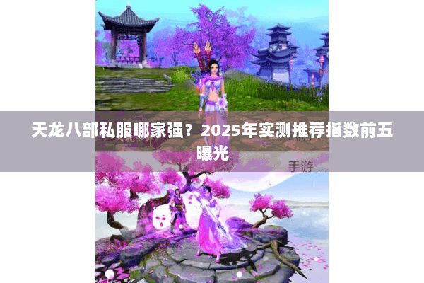 天龙八部私服哪家强?2025年实测推荐指数前五曝光 天龙八部私服哪家强?2025年实测推荐指数前五曝光