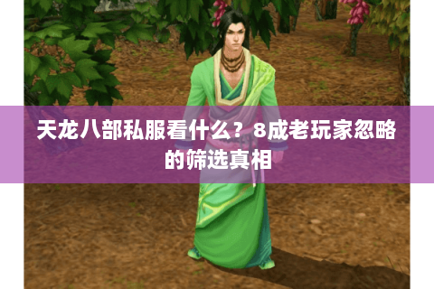 天龙八部私服看什么?8成老玩家忽略的筛选真相 天龙八部私服看什么?8成老玩家忽略的筛选真相