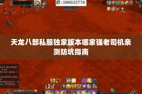 天龙八部私服独家版本哪家强老司机亲测防坑指南