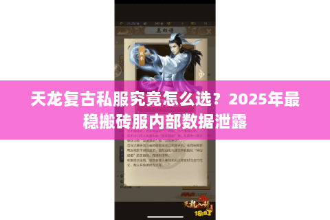 天龙复古私服究竟怎么选?2025年最稳搬砖服内部数据泄露 天龙复古私服究竟怎么选?2025年最稳搬砖服内部数据泄露
