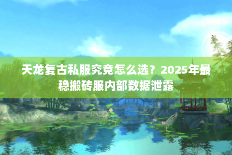 天龙复古私服究竟怎么选?2025年最稳搬砖服内部数据泄露 天龙复古私服究竟怎么选?2025年最稳搬砖服内部数据泄露