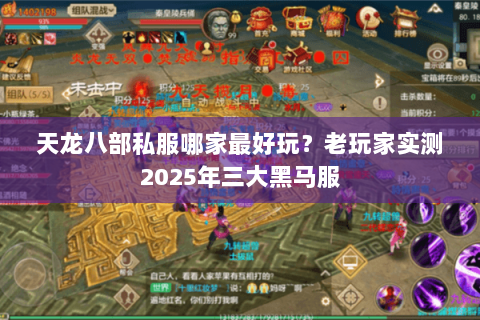 天龙八部私服哪家最好玩?老玩家实测2025年三大黑马服 天龙八部私服哪家最好玩?老玩家实测2025年三大黑马服