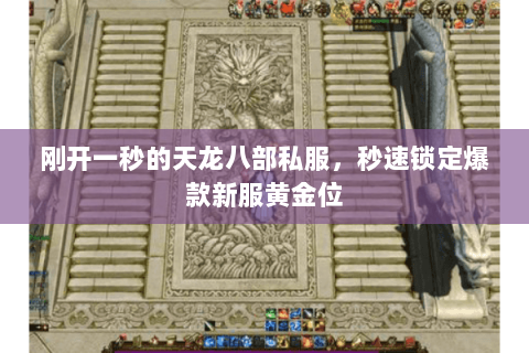 刚开一秒的天龙八部私服,秒速锁定爆款新服黄金位 刚开一秒的天龙八部私服,秒速锁定爆款新服黄金位