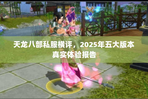 天龙八部私服横评，2025年五大版本真实体验报告