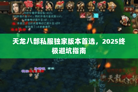 天龙八部私服独家版本首选,2025终极避坑指南 天龙八部私服独家版本首选,2025终极避坑指南