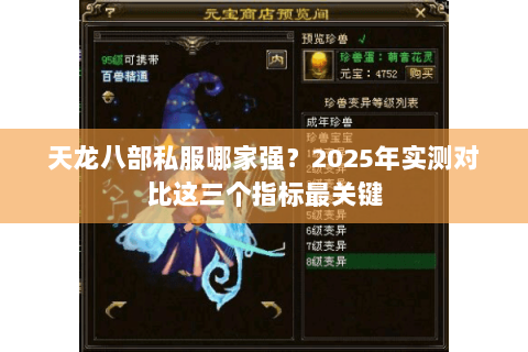 天龙八部私服哪家强?2025年实测对比这三个指标最关键 天龙八部私服哪家强?2025年实测对比这三个指标最关键