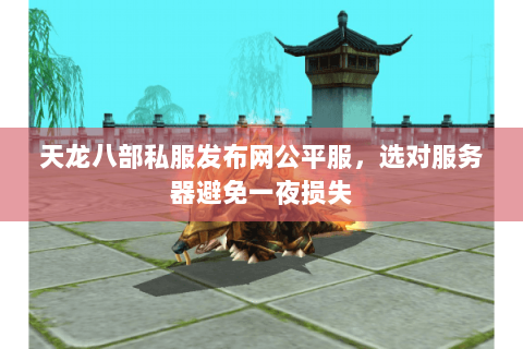天龙八部私服发布网公平服,选对服务器避免一夜损失 天龙八部私服发布网公平服,选对服务器避免一夜损失