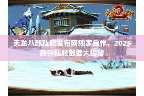 天龙八部私服发布网独家合作,2025新开私服数据大揭秘 天龙八部私服发布网独家合作,2025新开私服数据大揭秘