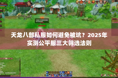 天龙八部私服如何避免被坑?2025年实测公平服三大筛选法则 天龙八部私服如何避免被坑?2025年实测公平服三大筛选法则