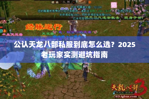 公认天龙八部私服到底怎么选?2025老玩家实测避坑指南 公认天龙八部私服到底怎么选?2025老玩家实测避坑指南