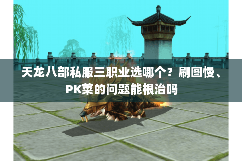 天龙八部私服三职业选哪个?刷图慢、PK菜的问题能根治吗 天龙八部私服三职业选哪个?刷图慢、PK菜的问题能根治吗