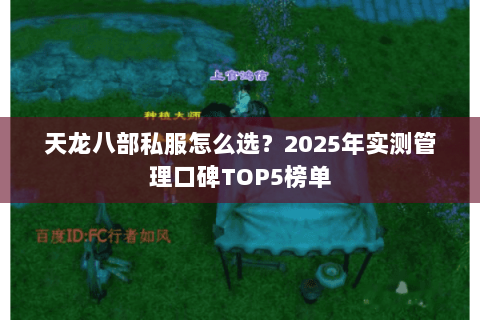 天龙八部私服怎么选?2025年实测管理口碑TOP5榜单 天龙八部私服怎么选?2025年实测管理口碑TOP5榜单