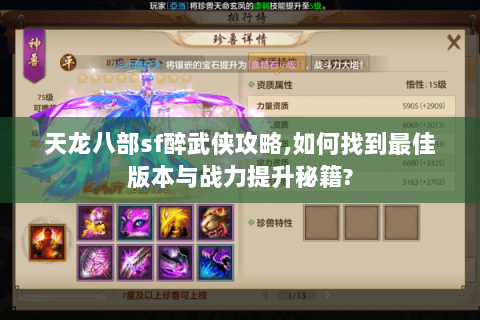 天龙八部sf醉武侠攻略,如何找到最佳版本与战力提升秘籍?
