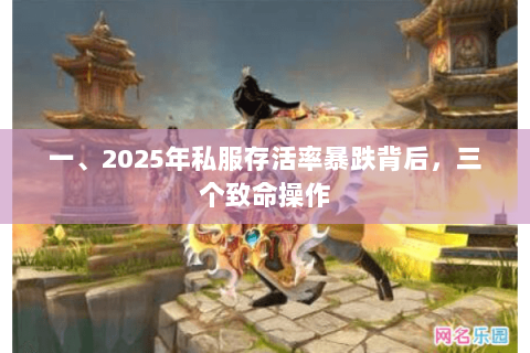 一、2025年私服存活率暴跌背后,三个致命操作 一、2025年私服存活率暴跌背后,三个致命操作
