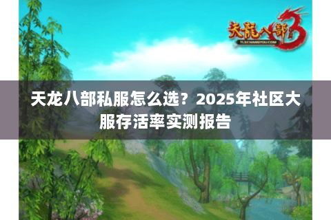 天龙八部私服怎么选？2025年社区大服存活率实测报告