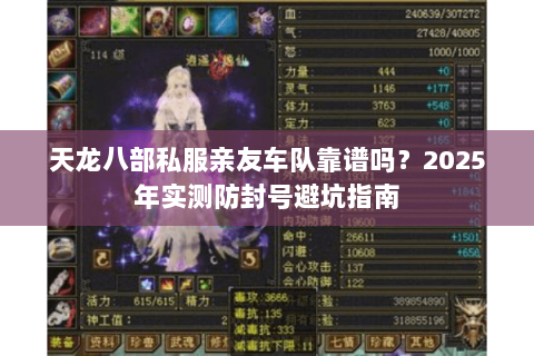 天龙八部私服亲友车队靠谱吗？2025年实测防封号避坑指南