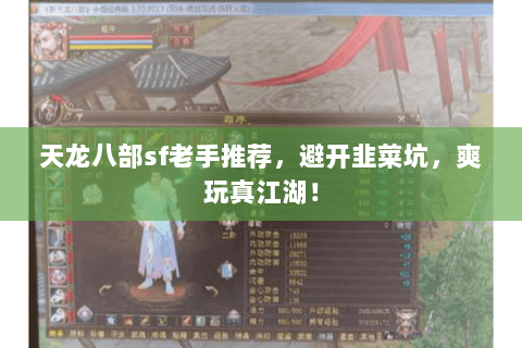 天龙八部sf老手推荐,避开韭菜坑,爽玩真江湖! 天龙八部sf老手推荐,避开韭菜坑,爽玩真江湖!