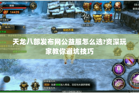 天龙八部发布网公益服怎么选?资深玩家教你避坑技巧