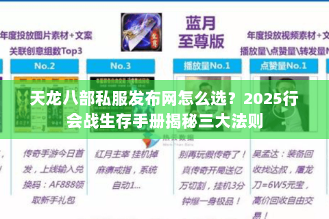 天龙八部私服发布网怎么选?2025行会战生存手册揭秘三大法则 天龙八部私服发布网怎么选?2025行会战生存手册揭秘三大法则