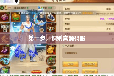 第一步,识别真源码服 第一步,识别真源码服