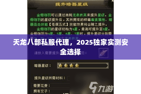 天龙八部私服代理，2025独家实测安全选择
