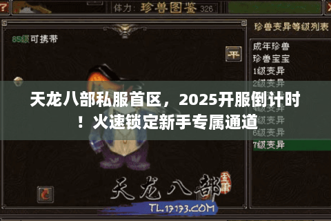 天龙八部私服首区,2025开服倒计时!火速锁定新手专属通道 天龙八部私服首区,2025开服倒计时!火速锁定新手专属通道