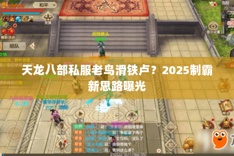 天龙八部私服老鸟滑铁卢?2025制霸新思路曝光 天龙八部私服老鸟滑铁卢?2025制霸新思路曝光