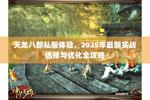 天龙八部私服体验，2025年最新实战选择与优化全攻略