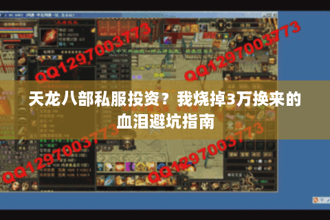 天龙八部私服投资?我烧掉3万换来的血泪避坑指南 天龙八部私服投资?我烧掉3万换来的血泪避坑指南
