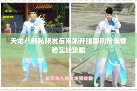 天龙八部私服发布网刚开服即刻抢先体验实战攻略